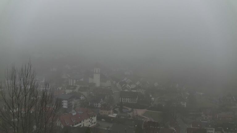 Dieses Bild zeigt eine Webcam-Aufnahme von Ottenhöfen, aufgenommen am Freitag, den 20.02.2026 um 09:20 Uhr