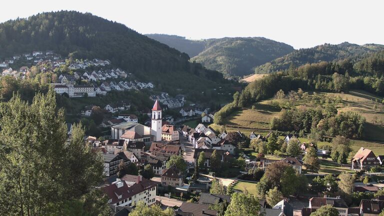 Dieses Bild zeigt eine Webcam-Aufnahme von Ottenhöfen, aufgenommen am Sonntag, den 06.09.2026 um 08:50 Uhr