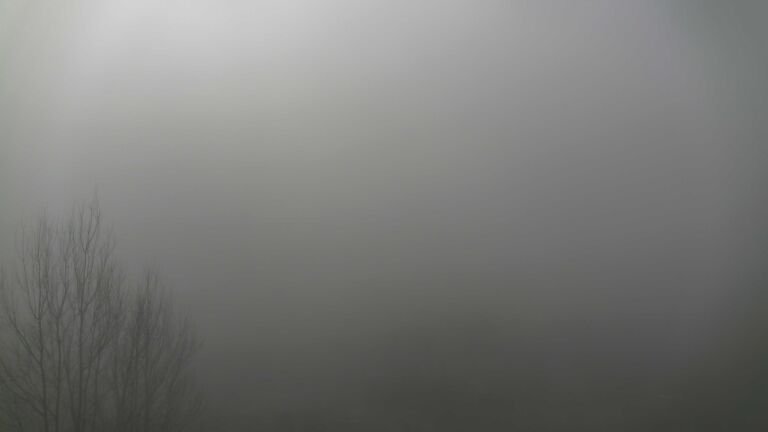 Dieses Bild zeigt eine Webcam-Aufnahme von Ottenhöfen, aufgenommen am Mittwoch, den 25.02.2026 um 10:40 Uhr