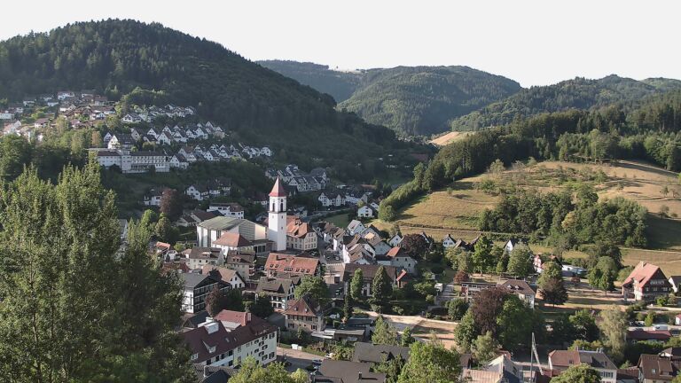 Dieses Bild zeigt eine Webcam-Aufnahme von Ottenhöfen, aufgenommen am Mittwoch, den 29.07.2026 um 08:00 Uhr