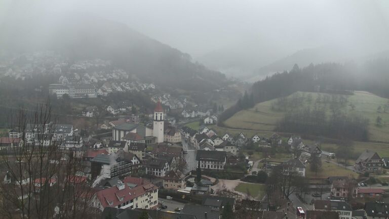 Dieses Bild zeigt eine Webcam-Aufnahme von Ottenhöfen, aufgenommen am Donnerstag, den 29.01.2026 um 08:50 Uhr