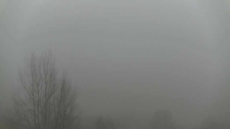 Dieses Bild zeigt eine Webcam-Aufnahme von Ottenhöfen, aufgenommen am Sonntag, den 14.12.2025 um 08:10 Uhr