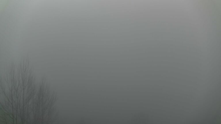 Dieses Bild zeigt eine Webcam-Aufnahme von Ottenhöfen, aufgenommen am Freitag, den 30.01.2026 um 08:40 Uhr