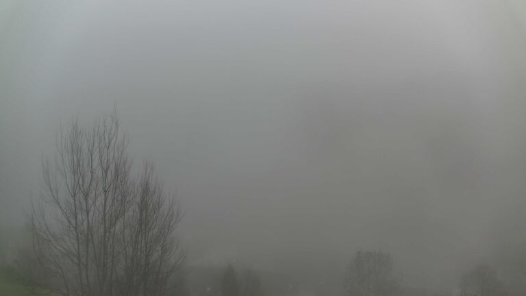 Dieses Bild zeigt eine Webcam-Aufnahme von Ottenhöfen, aufgenommen am Sonntag, den 14.12.2025 um 08:40 Uhr