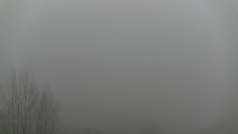 Dieses Bild zeigt eine Webcam-Aufnahme von Ottenhöfen, aufgenommen am Mittwoch, den 28.01.2026 um 12:10 Uhr