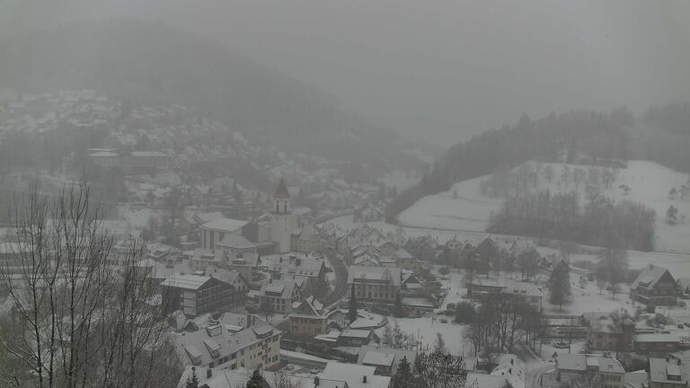 Dieses Bild zeigt eine Webcam-Aufnahme von Ottenhöfen, aufgenommen am Samstag, den 10.01.2026 um 12:20 Uhr