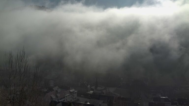 Dieses Bild zeigt eine Webcam-Aufnahme von Ottenhöfen, aufgenommen am Sonntag, den 08.02.2026 um 12:40 Uhr