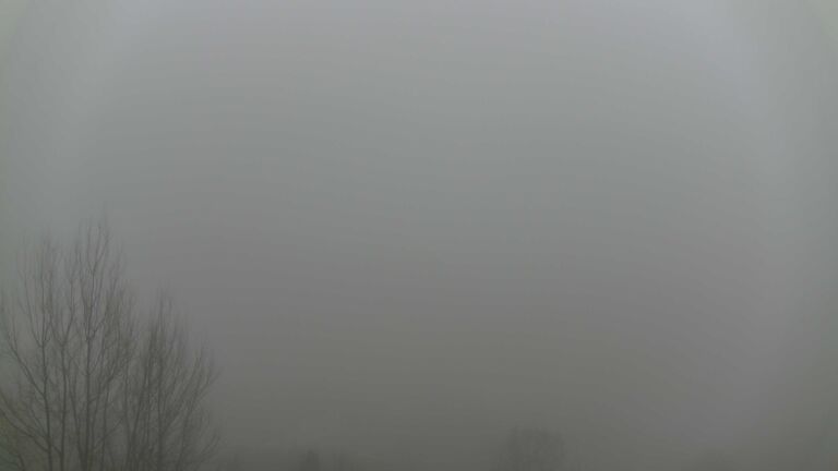 Dieses Bild zeigt eine Webcam-Aufnahme von Ottenhöfen, aufgenommen am Mittwoch, den 28.01.2026 um 11:50 Uhr