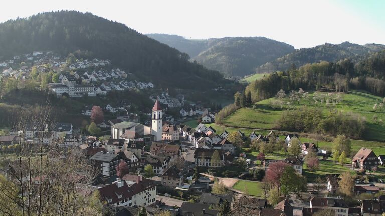 Dieses Bild zeigt eine Webcam-Aufnahme von Ottenhöfen, aufgenommen am Mittwoch, den 15.04.2026 um 08:50 Uhr