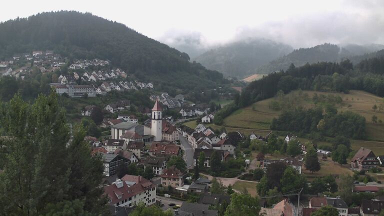 Dieses Bild zeigt eine Webcam-Aufnahme von Ottenhöfen, aufgenommen am Sonntag, den 19.07.2026 um 08:50 Uhr