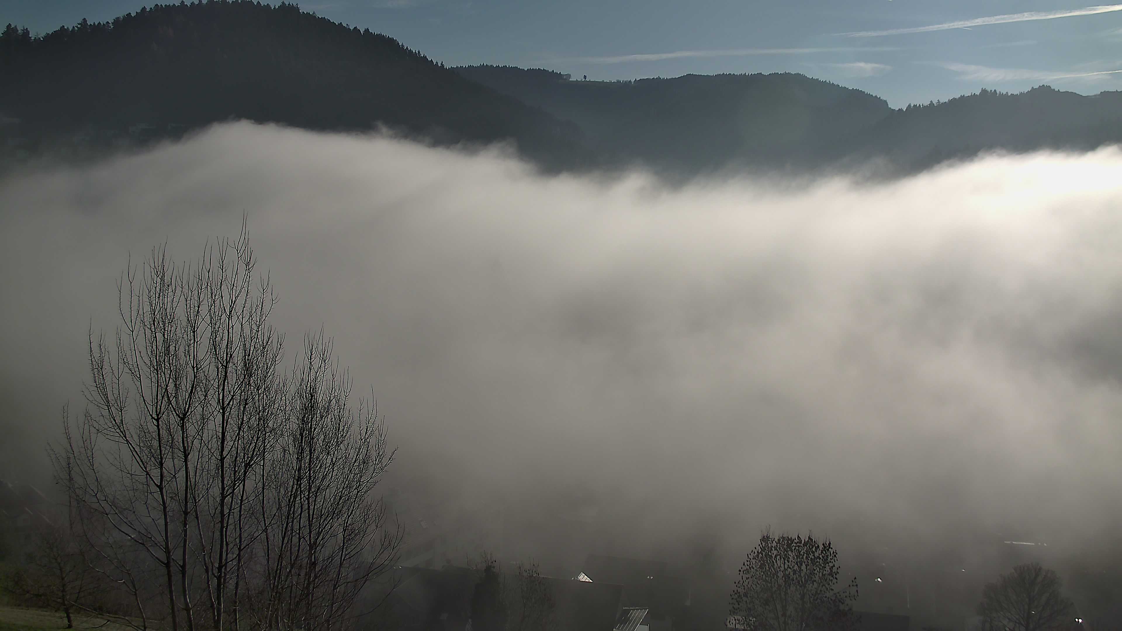 Zum Fotoarchiv vom Montag, 15. Dezember 2025