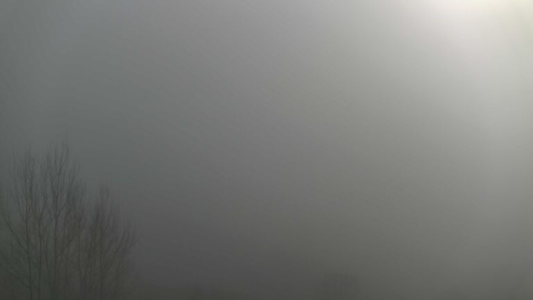 Dieses Bild zeigt eine Webcam-Aufnahme von Ottenhöfen, aufgenommen am Sonntag, den 21.12.2025 um 12:40 Uhr