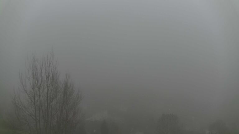 Dieses Bild zeigt eine Webcam-Aufnahme von Ottenhöfen, aufgenommen am Samstag, den 13.12.2025 um 16:10 Uhr