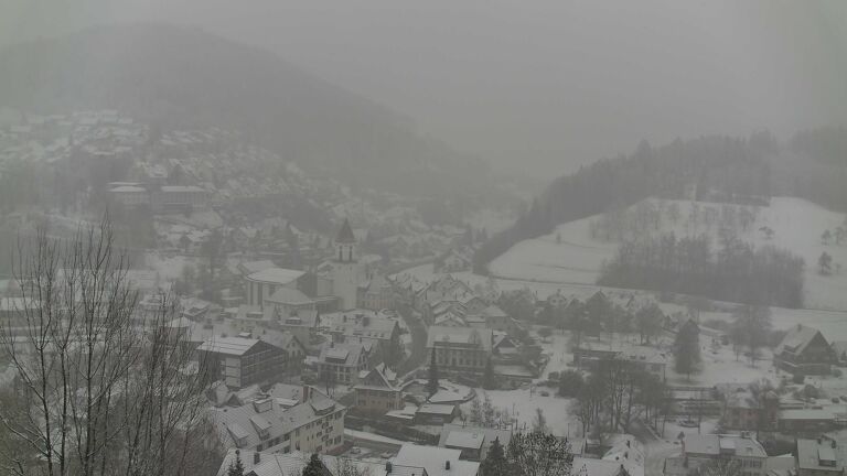 Dieses Bild zeigt eine Webcam-Aufnahme von Ottenhöfen, aufgenommen am Samstag, den 10.01.2026 um 12:10 Uhr