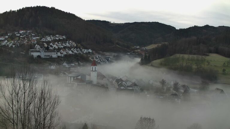 Dieses Bild zeigt eine Webcam-Aufnahme von Ottenhöfen, aufgenommen am Mittwoch, den 04.02.2026 um 08:50 Uhr