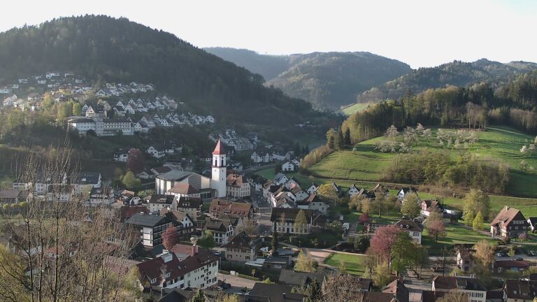 Dieses Bild zeigt eine Webcam-Aufnahme von Ottenhöfen, aufgenommen am Mittwoch, den 15.04.2026 um 08:10 Uhr