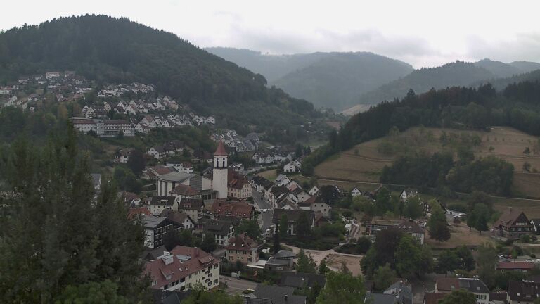 Dieses Bild zeigt eine Webcam-Aufnahme von Ottenhöfen, aufgenommen am Montag, den 17.08.2026 um 11:50 Uhr