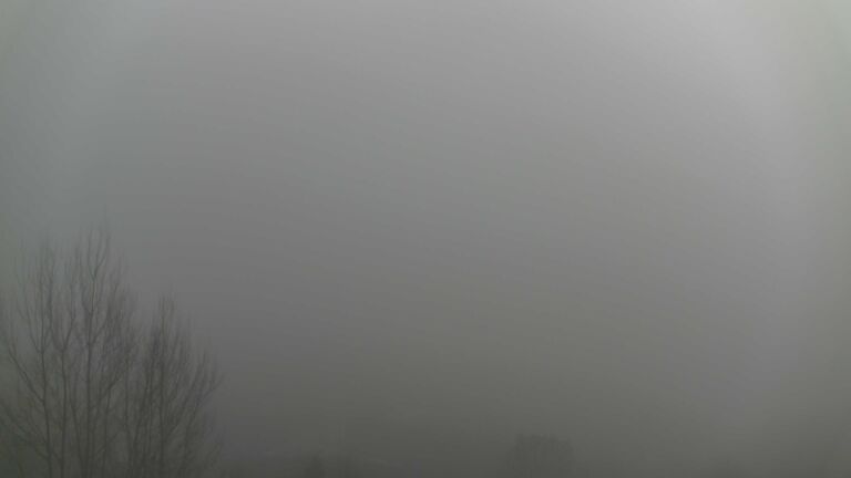 Dieses Bild zeigt eine Webcam-Aufnahme von Ottenhöfen, aufgenommen am Sonntag, den 21.12.2025 um 12:30 Uhr