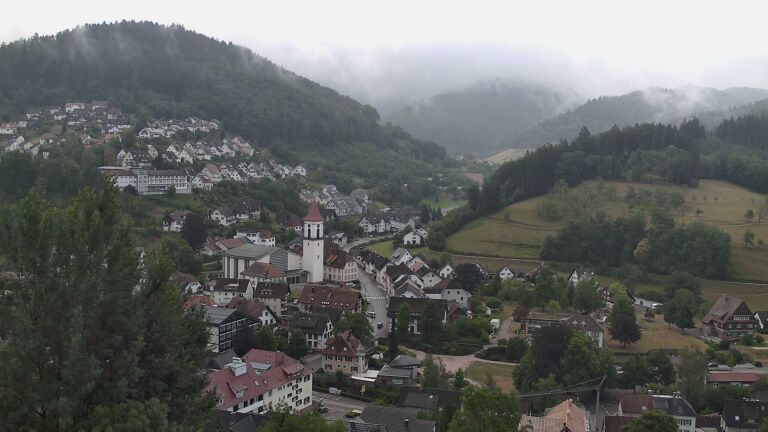 Dieses Bild zeigt eine Webcam-Aufnahme von Ottenhöfen, aufgenommen am Sonntag, den 19.07.2026 um 08:20 Uhr