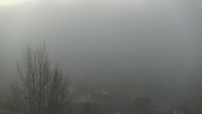 Dieses Bild zeigt eine Webcam-Aufnahme von Ottenhöfen, aufgenommen am Samstag, den 13.12.2025 um 08:00 Uhr