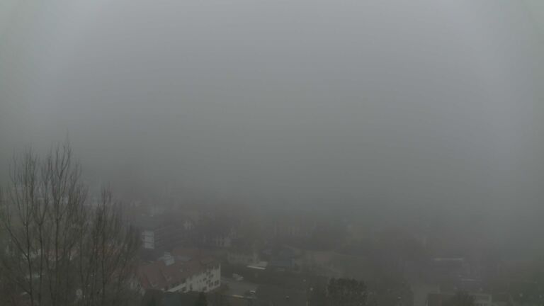 Dieses Bild zeigt eine Webcam-Aufnahme von Ottenhöfen, aufgenommen am Montag, den 22.12.2025 um 13:30 Uhr