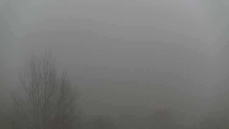 Dieses Bild zeigt eine Webcam-Aufnahme von Ottenhöfen, aufgenommen am Sonntag, den 14.12.2025 um 16:40 Uhr