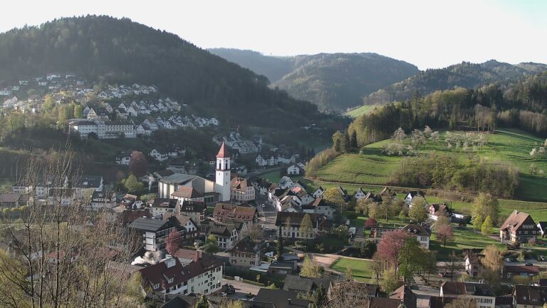 Dieses Bild zeigt eine Webcam-Aufnahme von Ottenhöfen, aufgenommen am Mittwoch, den 15.04.2026 um 08:20 Uhr