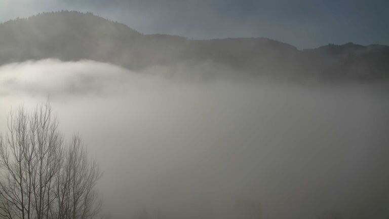 Dieses Bild zeigt eine Webcam-Aufnahme von Ottenhöfen, aufgenommen am Mittwoch, den 25.02.2026 um 09:30 Uhr