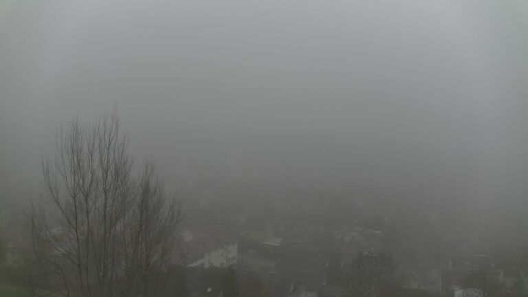 Dieses Bild zeigt eine Webcam-Aufnahme von Ottenhöfen, aufgenommen am Sonntag, den 14.12.2025 um 13:00 Uhr