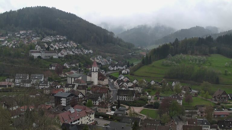 Dieses Bild zeigt eine Webcam-Aufnahme von Ottenhöfen, aufgenommen am Dienstag, den 14.04.2026 um 11:30 Uhr