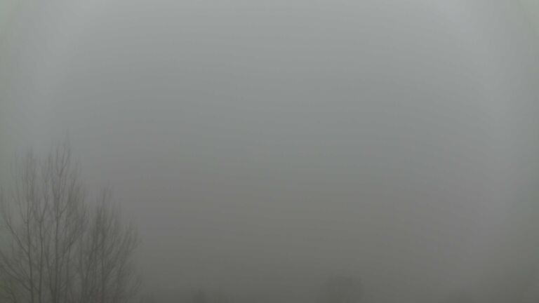 Dieses Bild zeigt eine Webcam-Aufnahme von Ottenhöfen, aufgenommen am Mittwoch, den 28.01.2026 um 08:10 Uhr