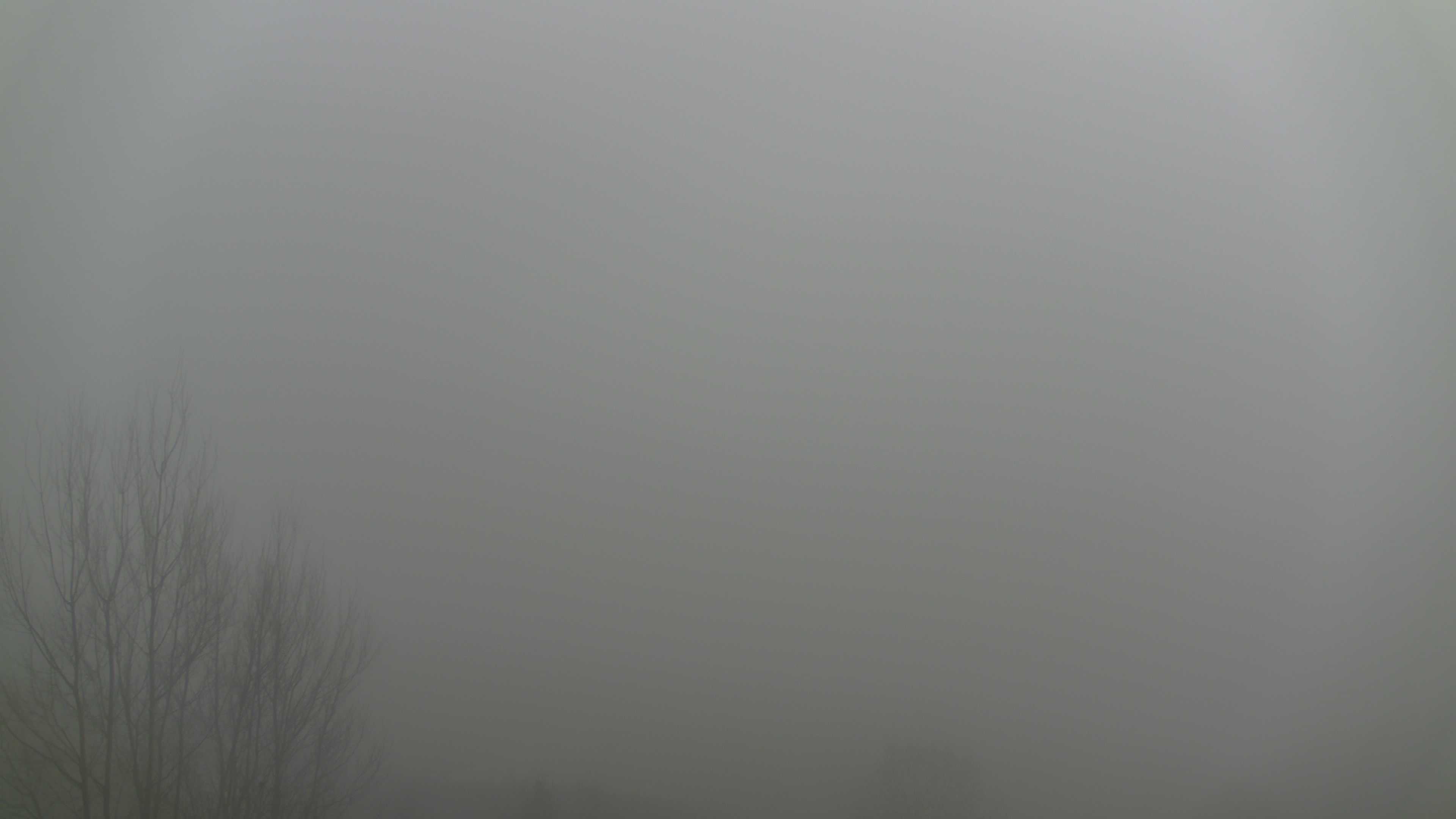 Zum Fotoarchiv vom Sonntag, 21. Dezember 2025