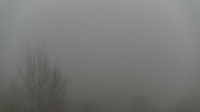 Dieses Bild zeigt eine Webcam-Aufnahme von Ottenhöfen, aufgenommen am Sonntag, den 14.12.2025 um 16:30 Uhr