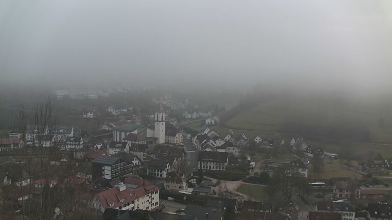 Dieses Bild zeigt eine Webcam-Aufnahme von Ottenhöfen, aufgenommen am Montag, den 02.02.2026 um 16:50 Uhr