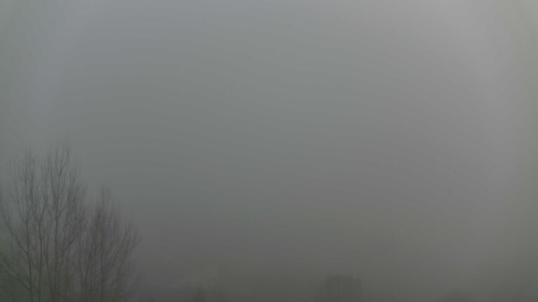 Dieses Bild zeigt eine Webcam-Aufnahme von Ottenhöfen, aufgenommen am Sonntag, den 21.12.2025 um 16:10 Uhr