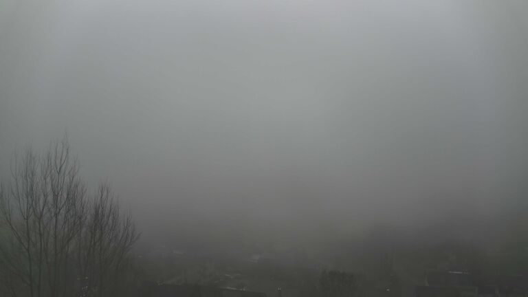 Dieses Bild zeigt eine Webcam-Aufnahme von Ottenhöfen, aufgenommen am Mittwoch, den 25.02.2026 um 10:50 Uhr