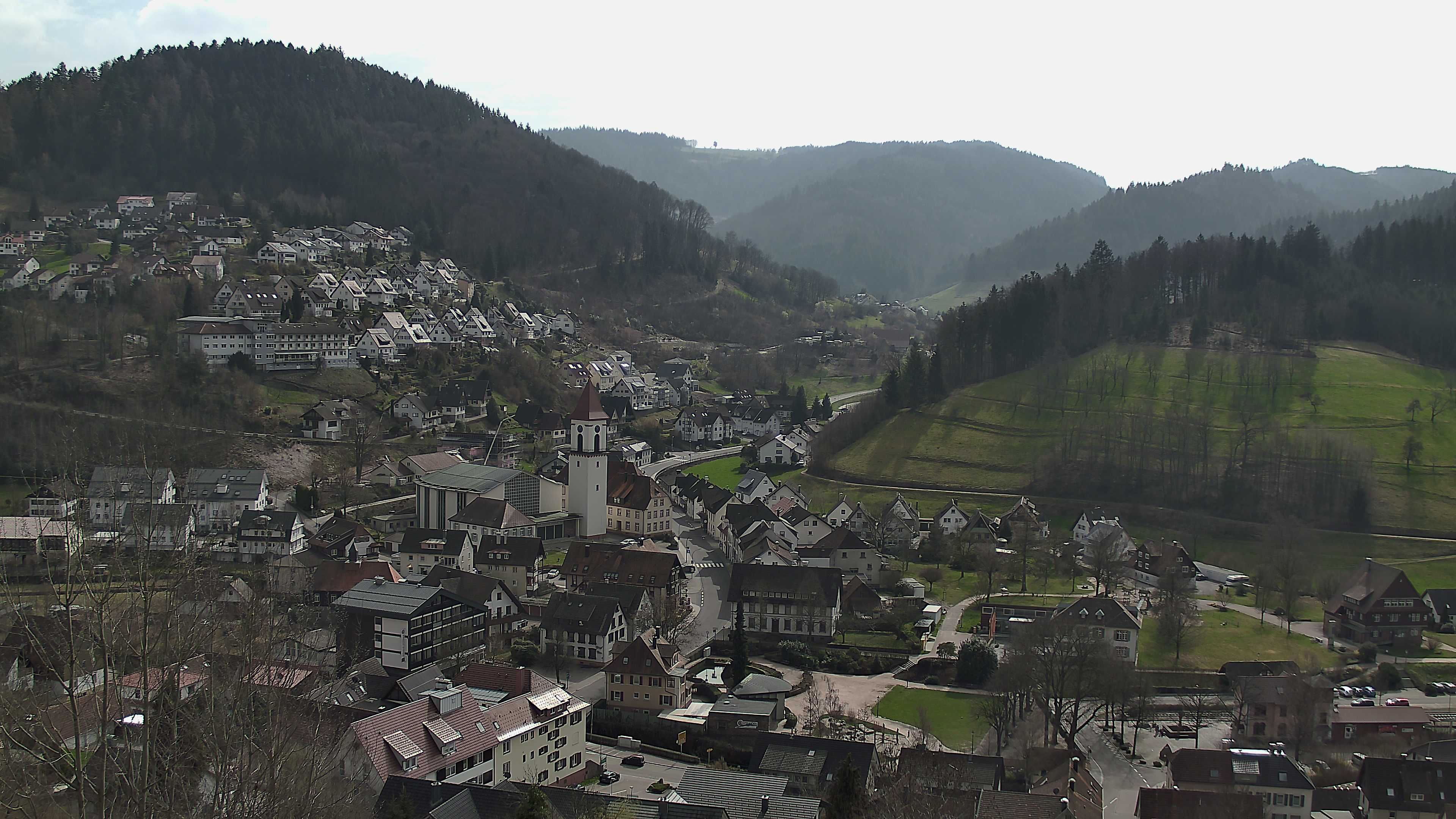 Zum Fotoarchiv vom Dienstag, 10. März 2026