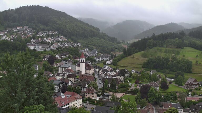 Dieses Bild zeigt eine Webcam-Aufnahme von Ottenhöfen, aufgenommen am Donnerstag, den 11.06.2026 um 08:50 Uhr