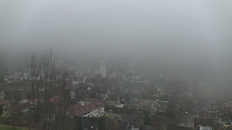 Dieses Bild zeigt eine Webcam-Aufnahme von Ottenhöfen, aufgenommen am Samstag, den 13.12.2025 um 12:00 Uhr