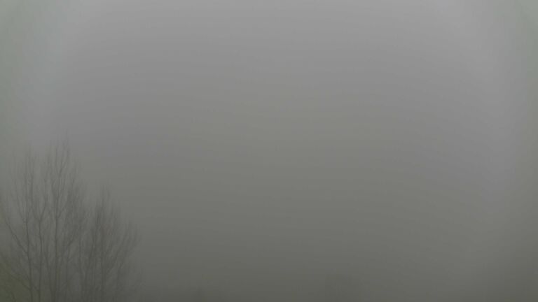 Dieses Bild zeigt eine Webcam-Aufnahme von Ottenhöfen, aufgenommen am Montag, den 22.12.2025 um 12:50 Uhr