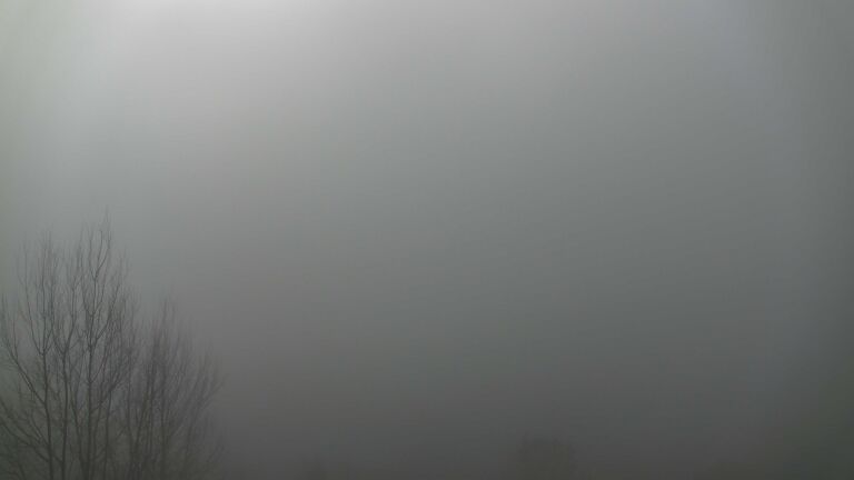 Dieses Bild zeigt eine Webcam-Aufnahme von Ottenhöfen, aufgenommen am Sonntag, den 08.02.2026 um 10:40 Uhr