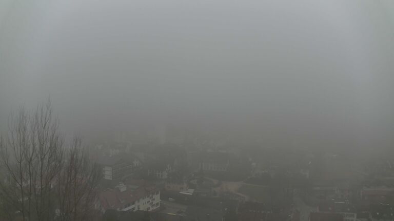 Dieses Bild zeigt eine Webcam-Aufnahme von Ottenhöfen, aufgenommen am Sonntag, den 08.02.2026 um 16:30 Uhr