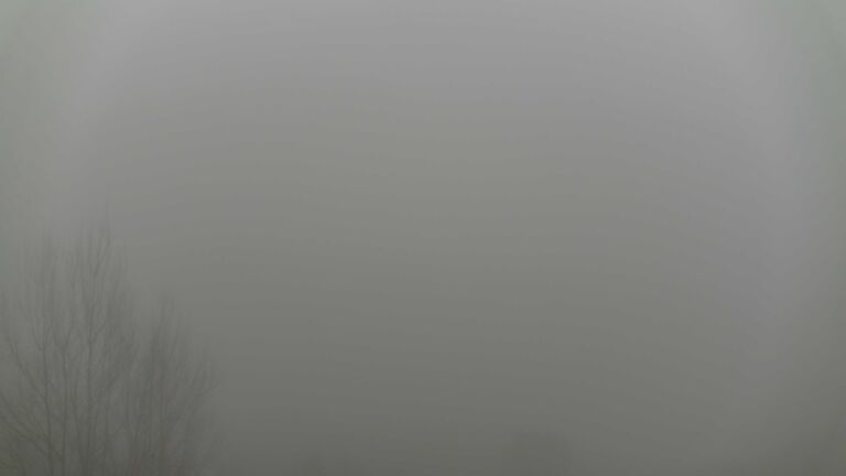 Dieses Bild zeigt eine Webcam-Aufnahme von Ottenhöfen, aufgenommen am Freitag, den 06.02.2026 um 08:10 Uhr